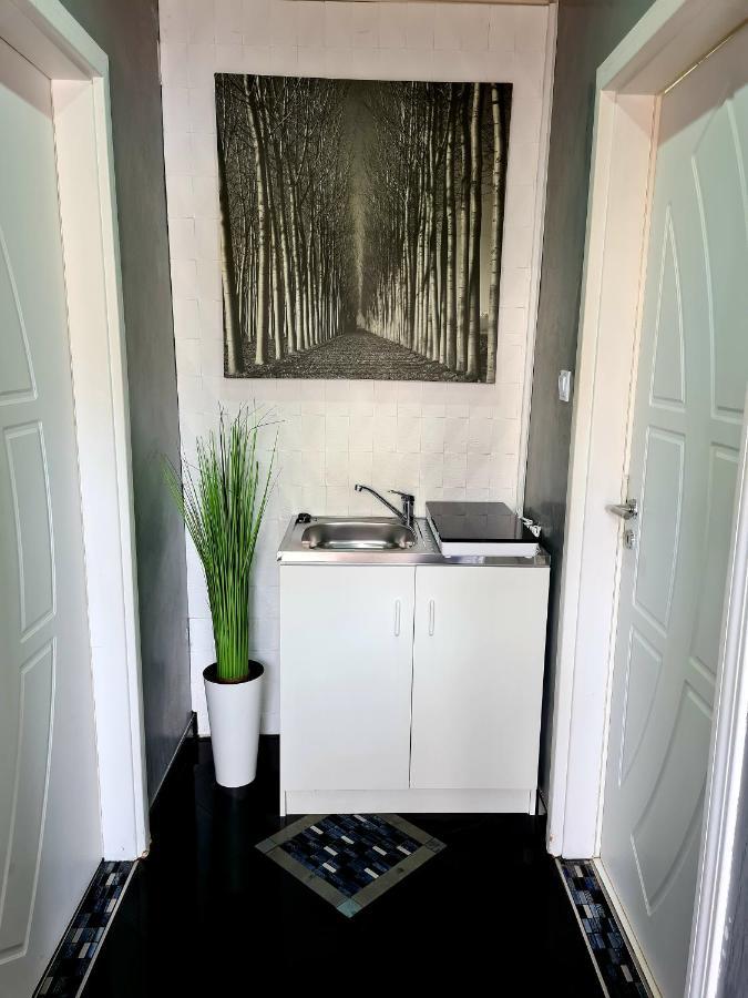 Airport Luxury Apartman 42 Vecsés Esterno foto