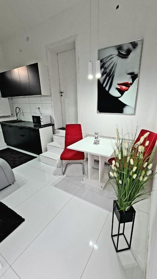 Airport Luxury Apartman 42 Vecsés Esterno foto