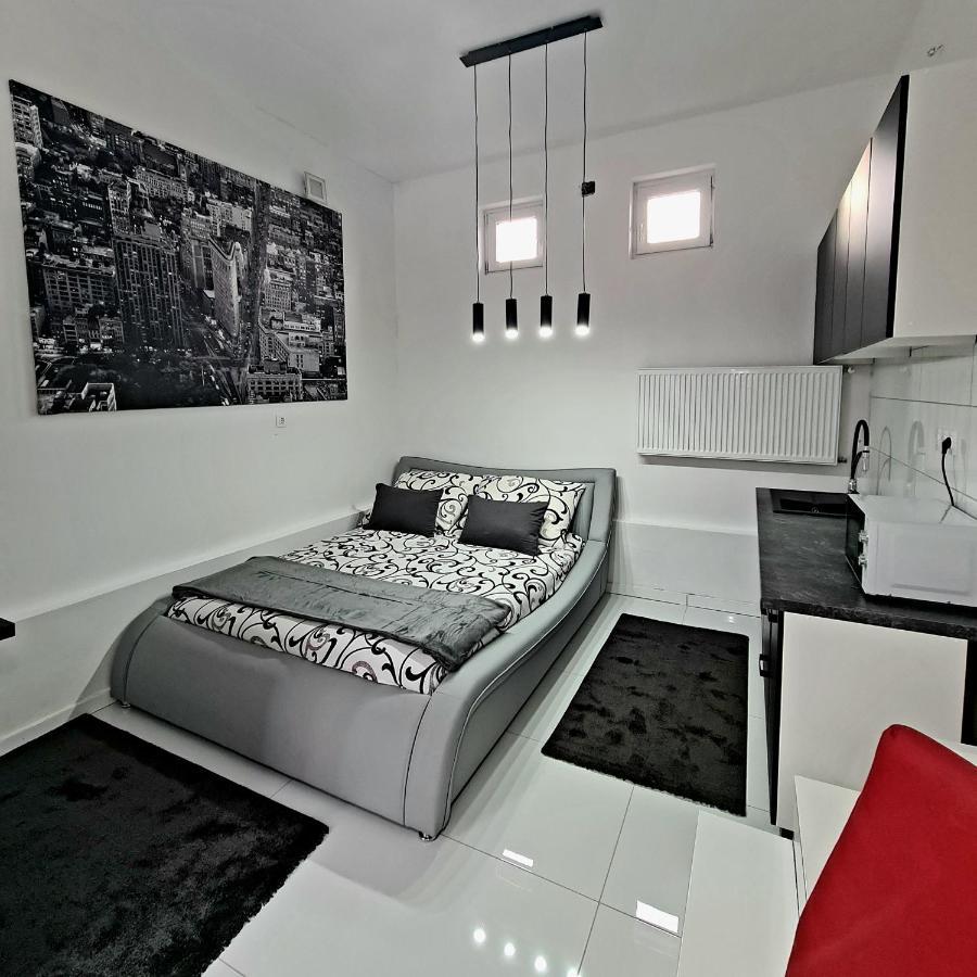 Airport Luxury Apartman 42 Vecsés Esterno foto